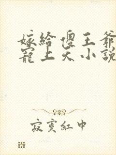 嫁给傻王爷后被宠上天小说阅读