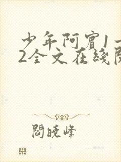 少年阿宾1一72全文在线阅读