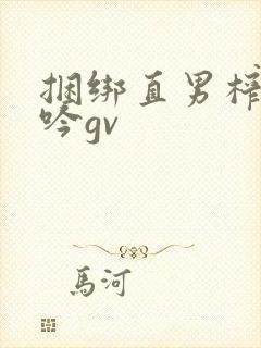 捆绑直男榨精呻吟gv