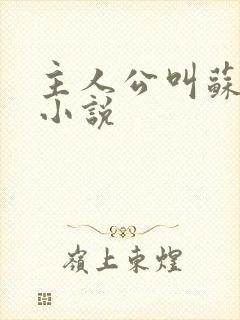 主人公叫苏尘的小说封面