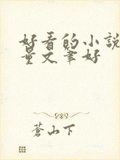 好看的小说高质量文笔好封面