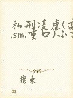 私刑凌虐(高h,sm,重口)小说