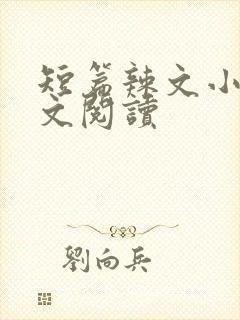 短篇辣文小说全文阅读