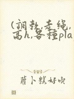 (调教,走绳,高h,各种play,)双男小说