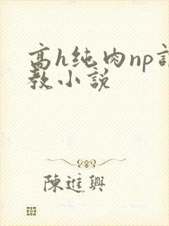 高h纯肉np调教小说