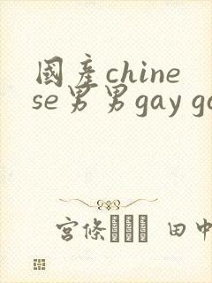 国产chinese男男gay gay视频网站