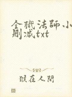 全职法师小说无删减txt封面