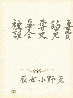 被争夺的妻子小说全文免费阅读