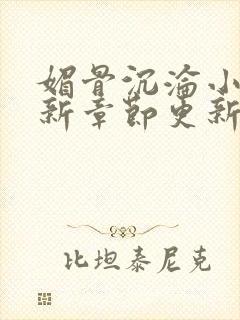 媚骨沉沦小说最新章节更新封面