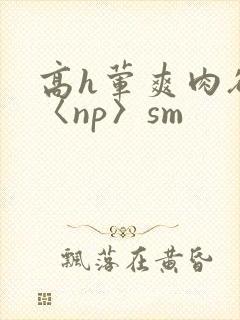 高h荤爽肉欲文〈np〉sm