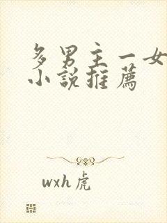 多男主一女主的小说推荐