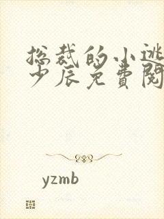 总裁的小逃妻冷少辰免费阅读