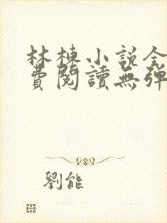 林栋小说全文免费阅读无弹窗