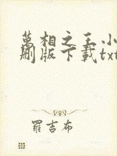 万相之王小说未删版下载txt