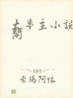 大梦主小说笔趣阁封面