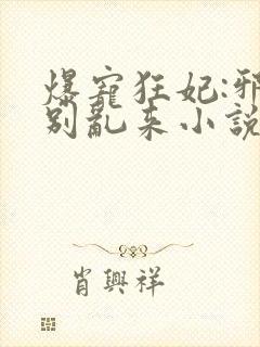 爆宠狂妃:邪王别乱来小说版