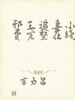 邪王追妻小说免费完整在线阅读