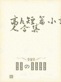 高h短篇小说多人合集