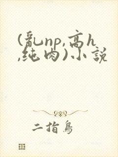(乱np,高h,纯肉)小说