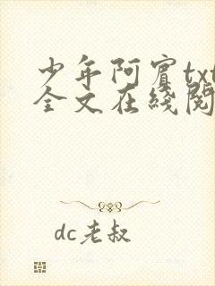 少年阿宾txt全文在线阅读