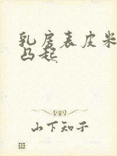 乳房表皮米粒大凸起