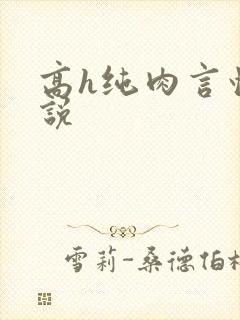 高h纯肉言情小说