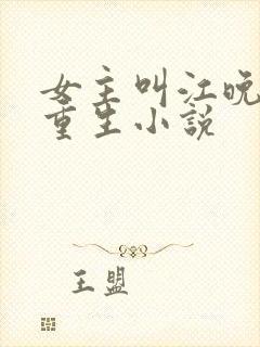 女主叫江晚意的重生小说