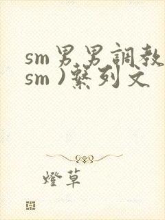sm男男调教(sm )系列文