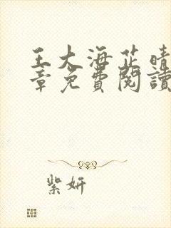 王大海芷晴30章免费阅读二十二章封面