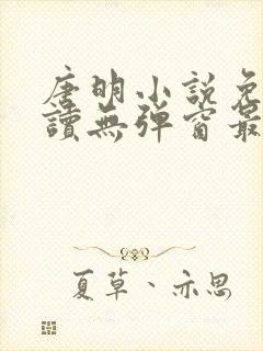 唐明小说免费阅读无弹窗最新章节下载封面