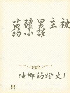 苗疆男主被囚禁的小说