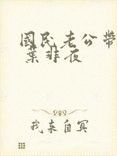 国民老公带回家 叶非夜