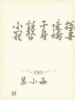 小说千亿总裁独宠替身娇妻完整版未删减小说