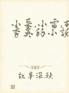 小采,小雷,胡秀英的小说封面