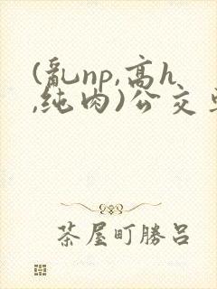 (乱np,高h,纯肉)公交车群p小说