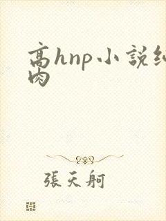 高hnp小说纯肉