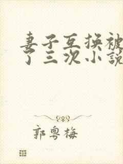 妻子互换被高潮了三次小说封面