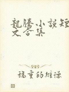 龙腾小说短篇辣文合集