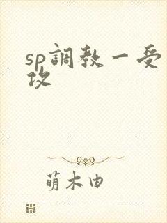 sp调教一受多攻