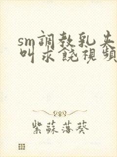 sm调教乳夹哭叫求饶视频网站