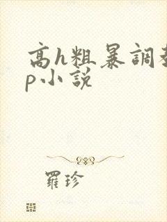 高h粗暴调教np小说