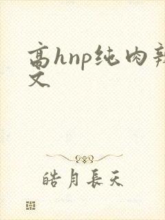 高hnp纯肉辣文