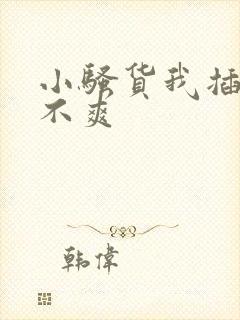 小骚货我插的爽不爽封面