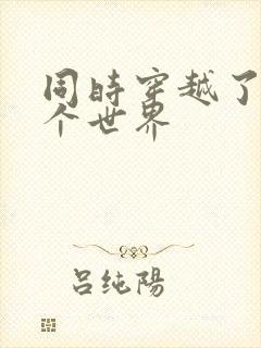 同时穿越了99个世界