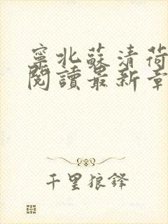 宁北苏清荷免费阅读最新章节笔趣阁封面