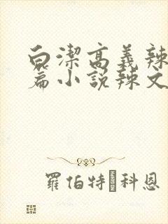 白洁高义辣文短篇小说辣文短篇小说辣文封面