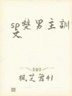 sp双男主训诫文