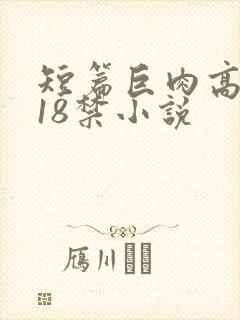 短篇巨肉高h文18禁小说封面