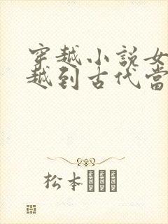 穿越小说女主穿越到古代当王妃封面