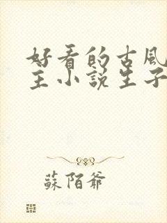 好看的古风双男主小说生子封面